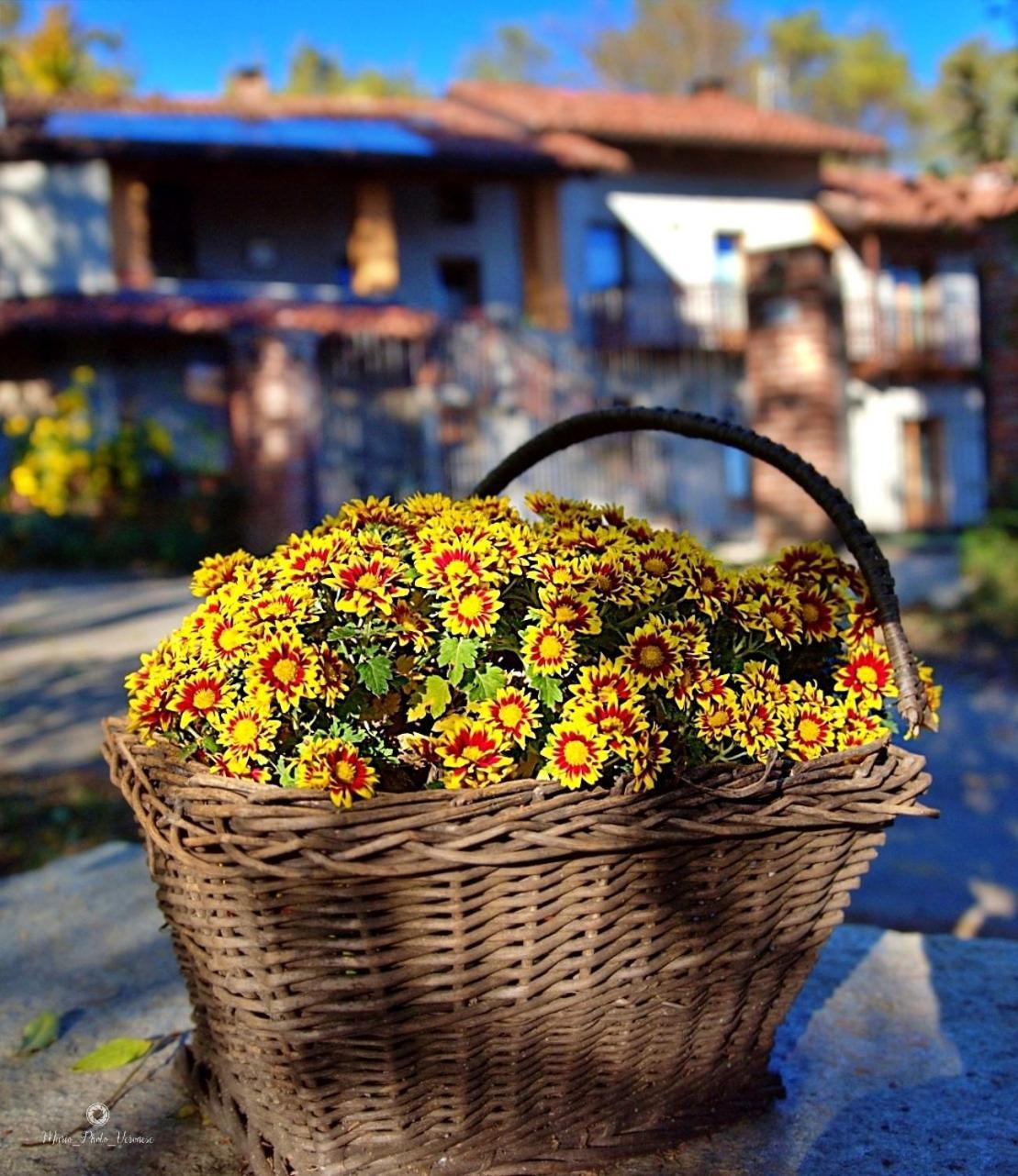B&B Le Mimose Bricherasio Exterior photo